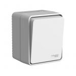 Выключатель 1-кл. ОП AtlasDesign PROFI IP54 с самовозвратом 10АХ сер. SE ATN543015 Выключатель 1-кл. ОП AtlasDesign PROFI IP54 с самовозвратом 10АХ сер. SE ATN543015